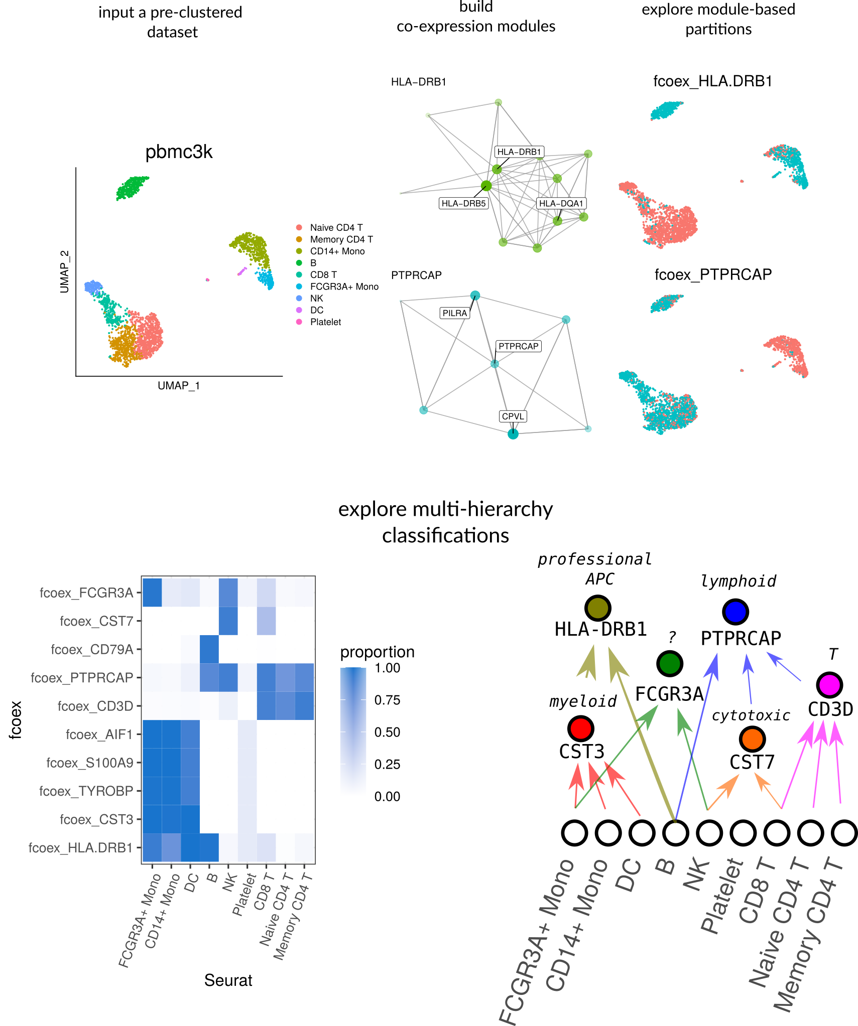 fcoex: using coexpression to explore cell type diversity in scRNA-seq data