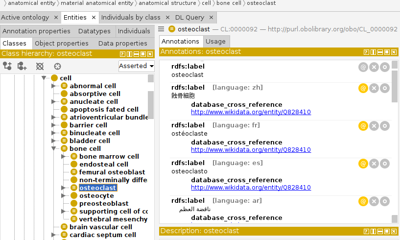 Multilang labes for osteoclast